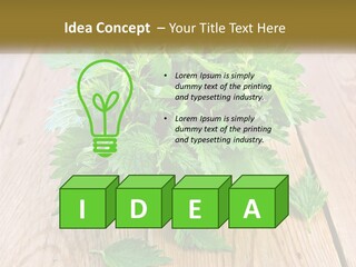 Retired Single Water PowerPoint Template