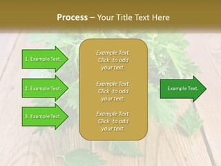 Retired Single Water PowerPoint Template