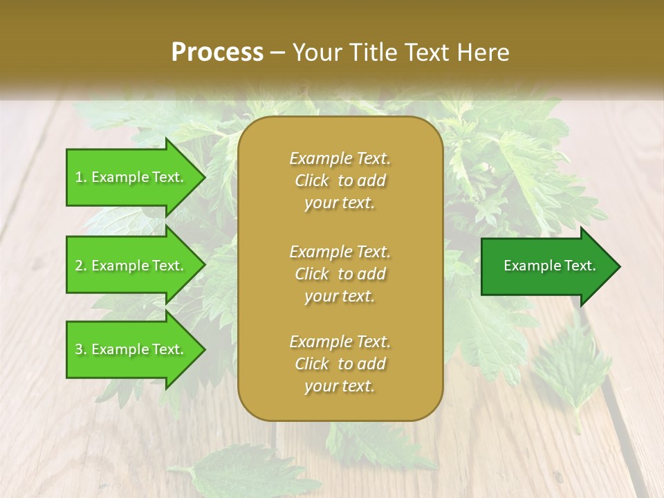 Retired Single Water PowerPoint Template