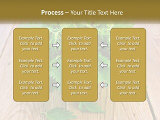 Retired Single Water PowerPoint Template