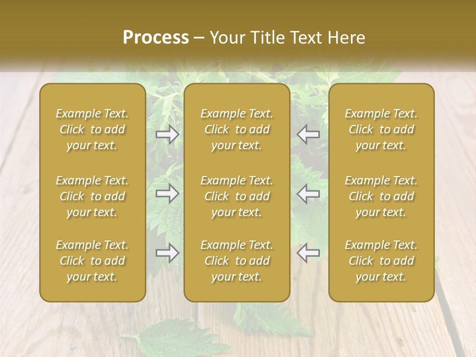 Retired Single Water PowerPoint Template
