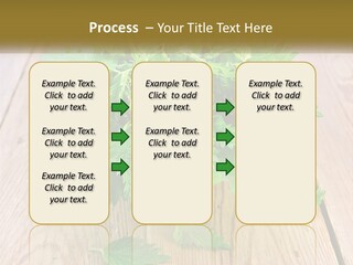 Retired Single Water PowerPoint Template