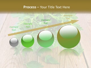 Retired Single Water PowerPoint Template