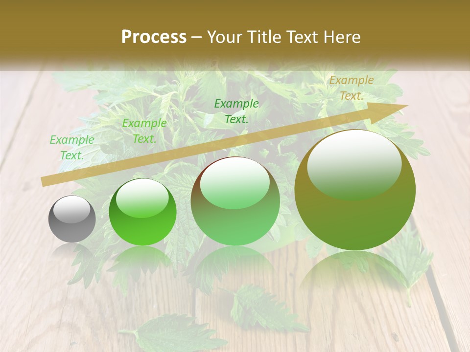 Retired Single Water PowerPoint Template