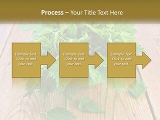 Retired Single Water PowerPoint Template
