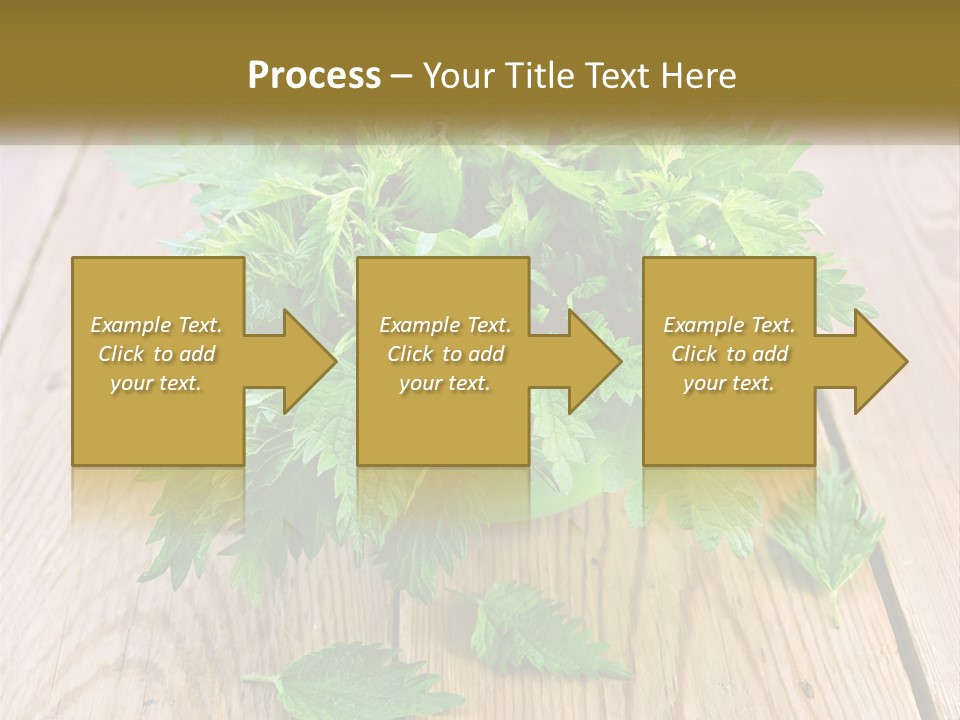 Retired Single Water PowerPoint Template