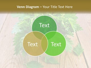 Retired Single Water PowerPoint Template