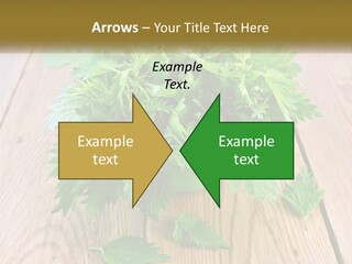 Retired Single Water PowerPoint Template