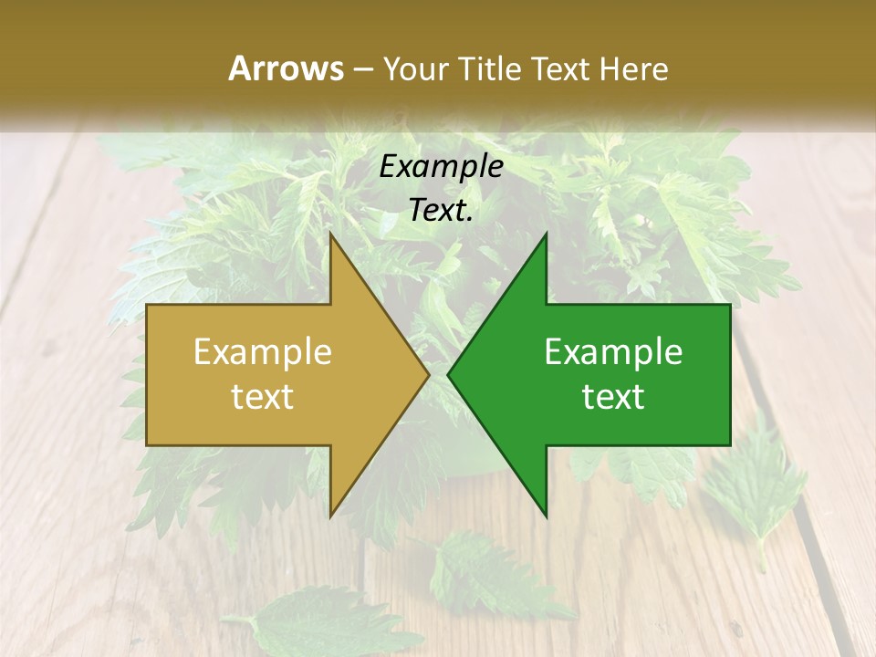 Retired Single Water PowerPoint Template
