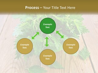 Retired Single Water PowerPoint Template