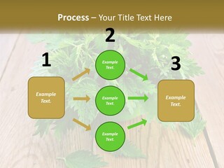 Retired Single Water PowerPoint Template