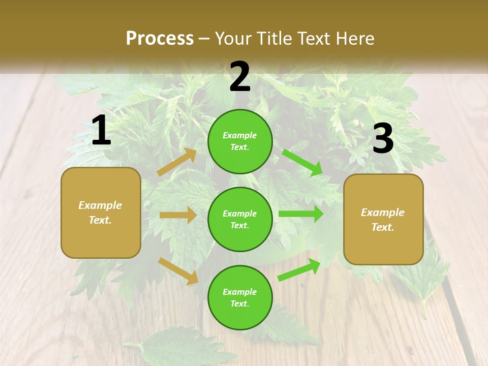 Retired Single Water PowerPoint Template