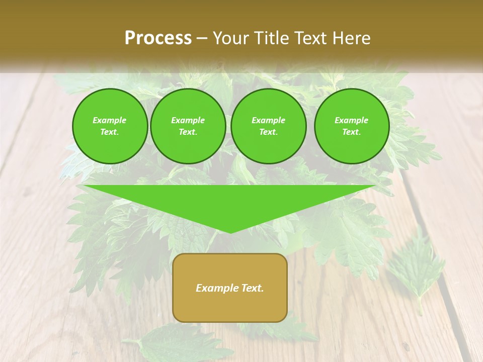 Retired Single Water PowerPoint Template