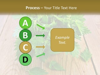 Retired Single Water PowerPoint Template