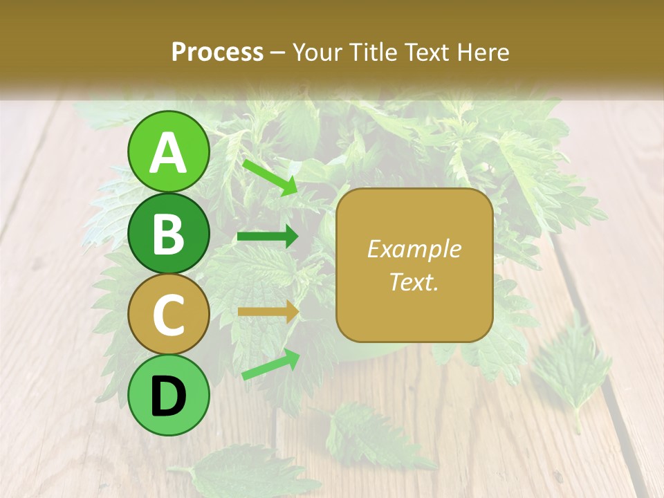 Retired Single Water PowerPoint Template