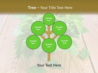 Retired Single Water PowerPoint Template