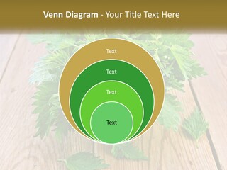 Retired Single Water PowerPoint Template