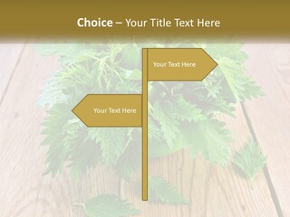 Retired Single Water PowerPoint Template