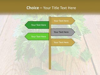 Retired Single Water PowerPoint Template