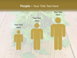 Retired Single Water PowerPoint Template