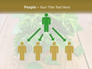 Retired Single Water PowerPoint Template