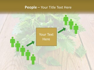 Retired Single Water PowerPoint Template