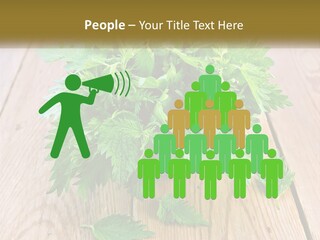 Retired Single Water PowerPoint Template