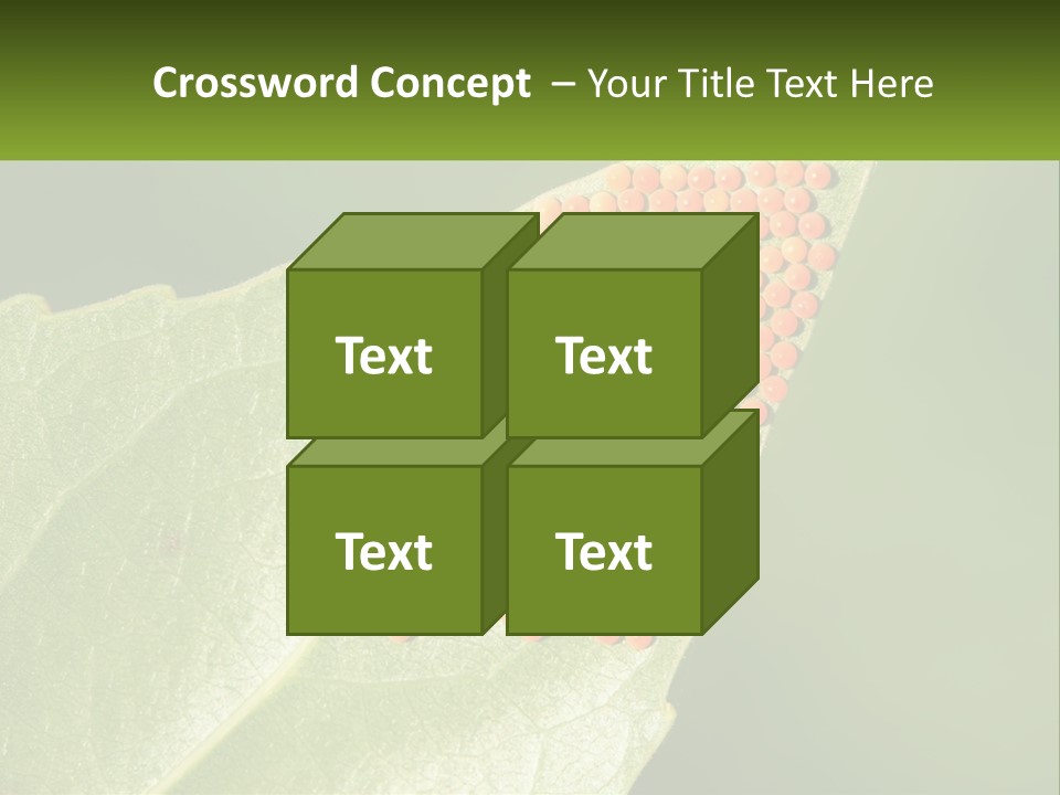 Standing Water Sand PowerPoint Template