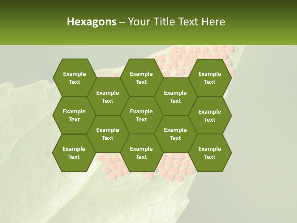 Standing Water Sand PowerPoint Template