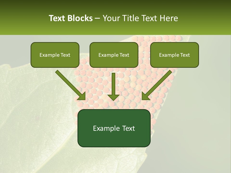 Standing Water Sand PowerPoint Template
