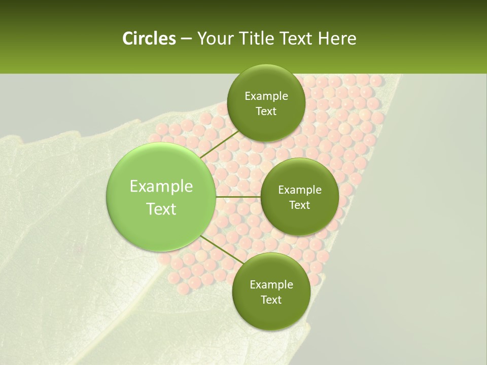 Standing Water Sand PowerPoint Template