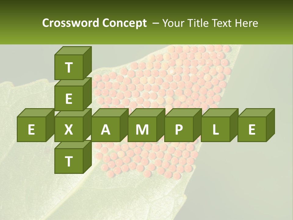 Standing Water Sand PowerPoint Template