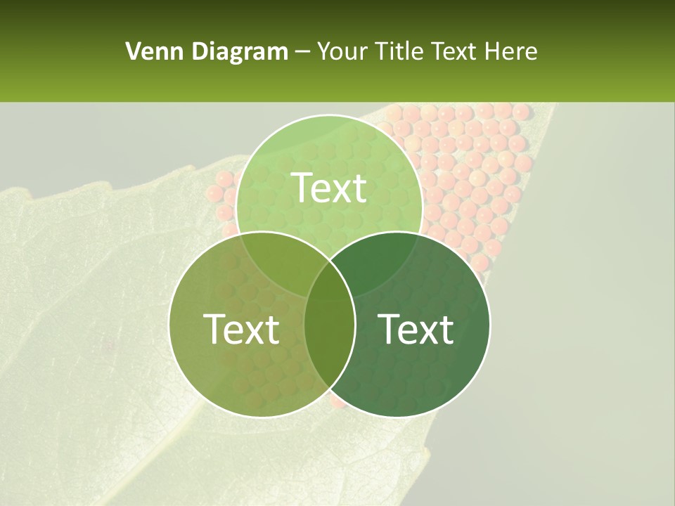 Standing Water Sand PowerPoint Template