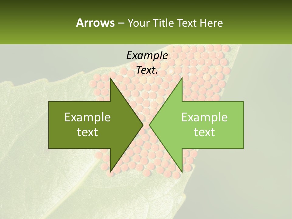 Standing Water Sand PowerPoint Template