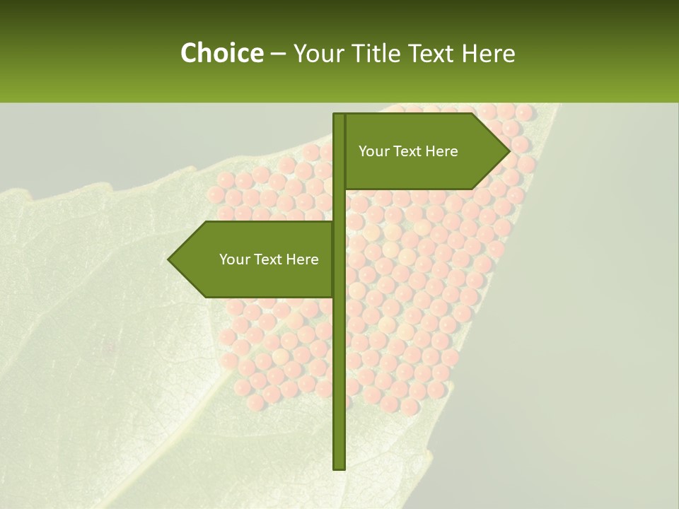 Standing Water Sand PowerPoint Template