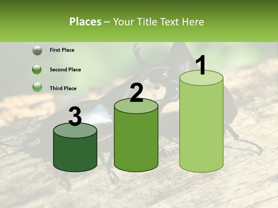 Sunrise Portrait Coast PowerPoint Template