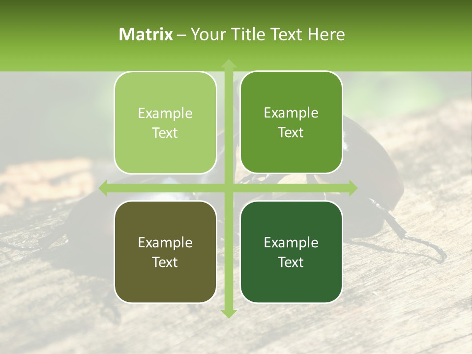 Sunrise Portrait Coast PowerPoint Template