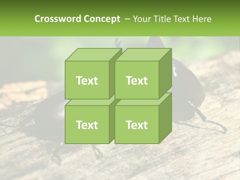Sunrise Portrait Coast PowerPoint Template