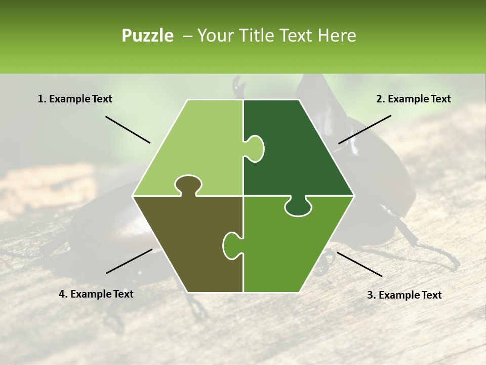 Sunrise Portrait Coast PowerPoint Template