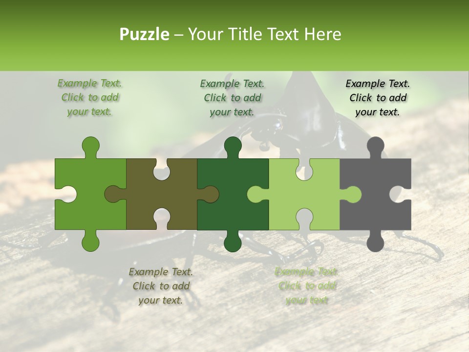 Sunrise Portrait Coast PowerPoint Template