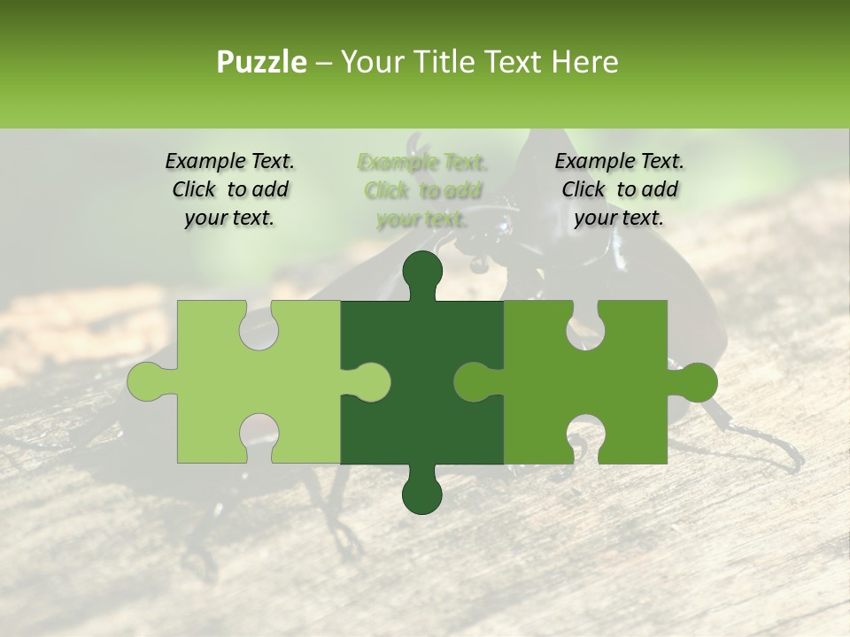 Sunrise Portrait Coast PowerPoint Template