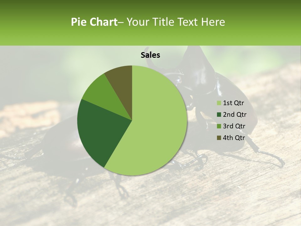 Sunrise Portrait Coast PowerPoint Template