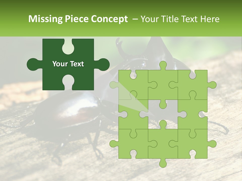 Sunrise Portrait Coast PowerPoint Template