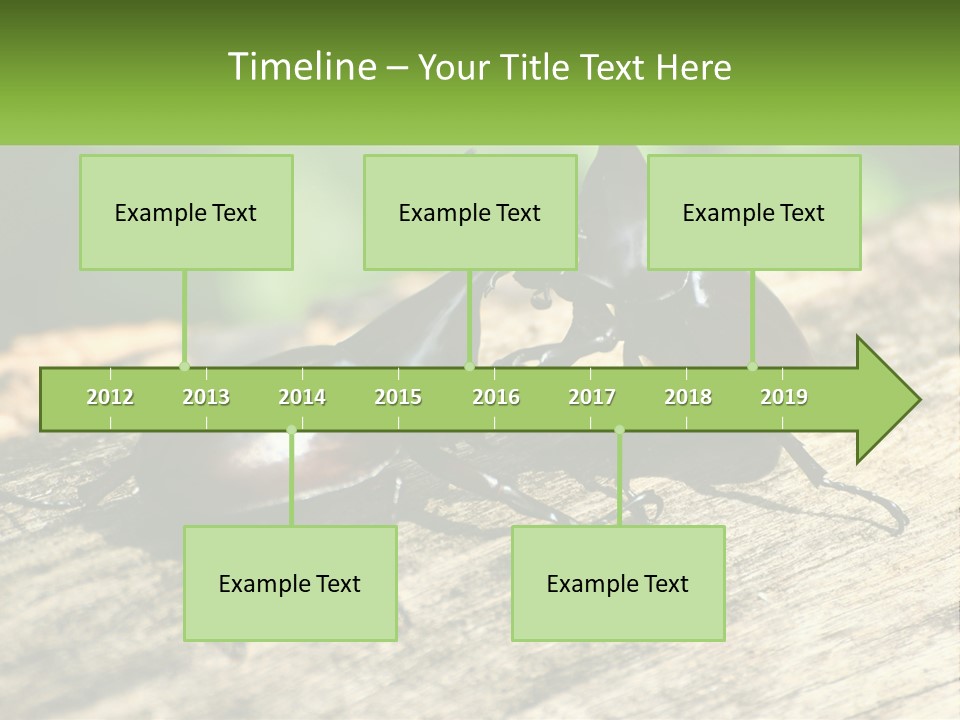 Sunrise Portrait Coast PowerPoint Template