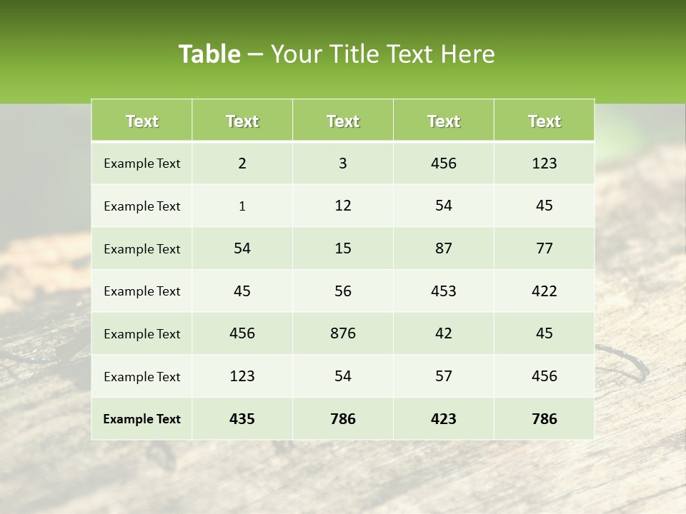 Sunrise Portrait Coast PowerPoint Template