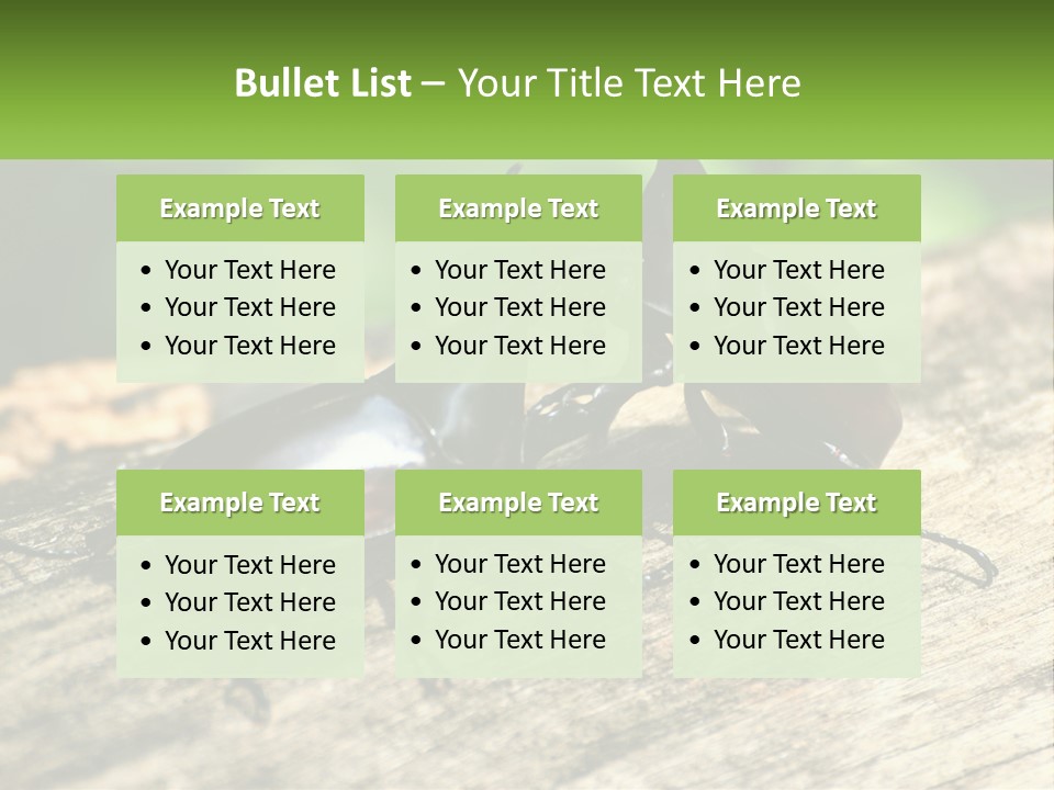 Sunrise Portrait Coast PowerPoint Template