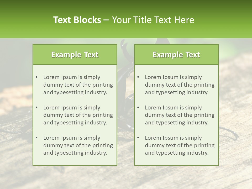 Sunrise Portrait Coast PowerPoint Template
