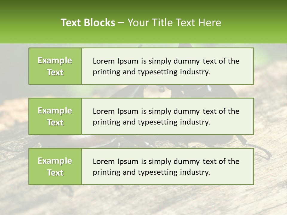 Sunrise Portrait Coast PowerPoint Template