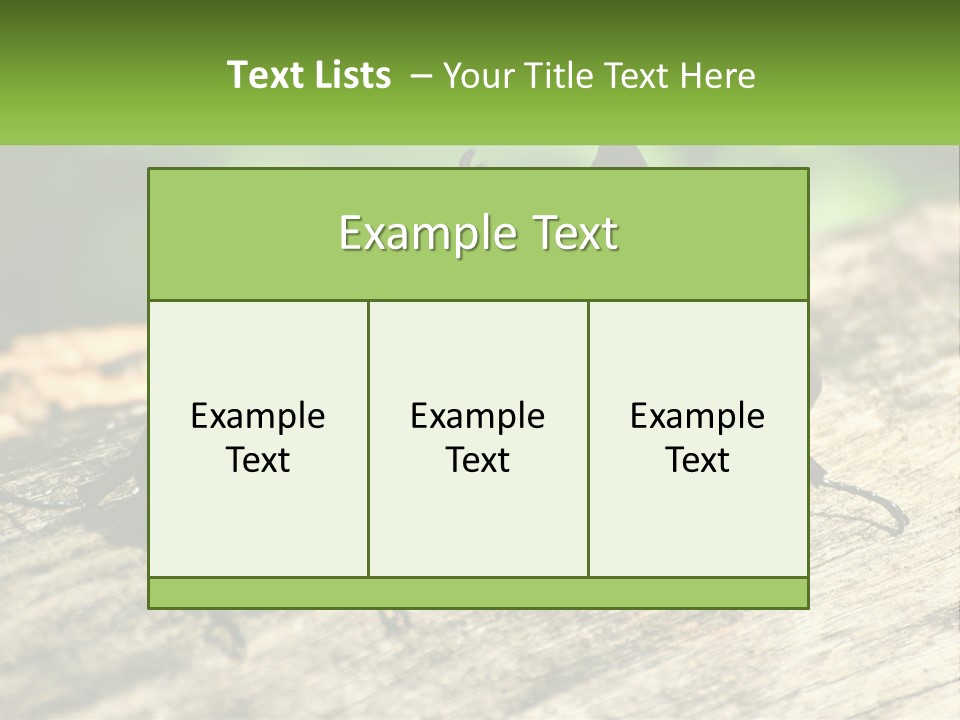 Sunrise Portrait Coast PowerPoint Template