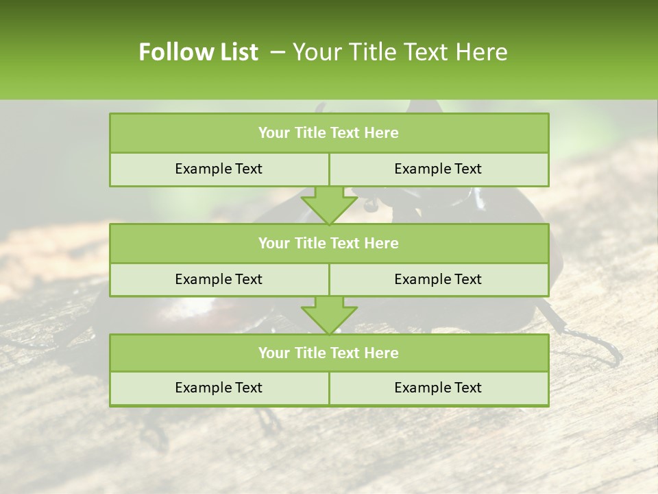 Sunrise Portrait Coast PowerPoint Template